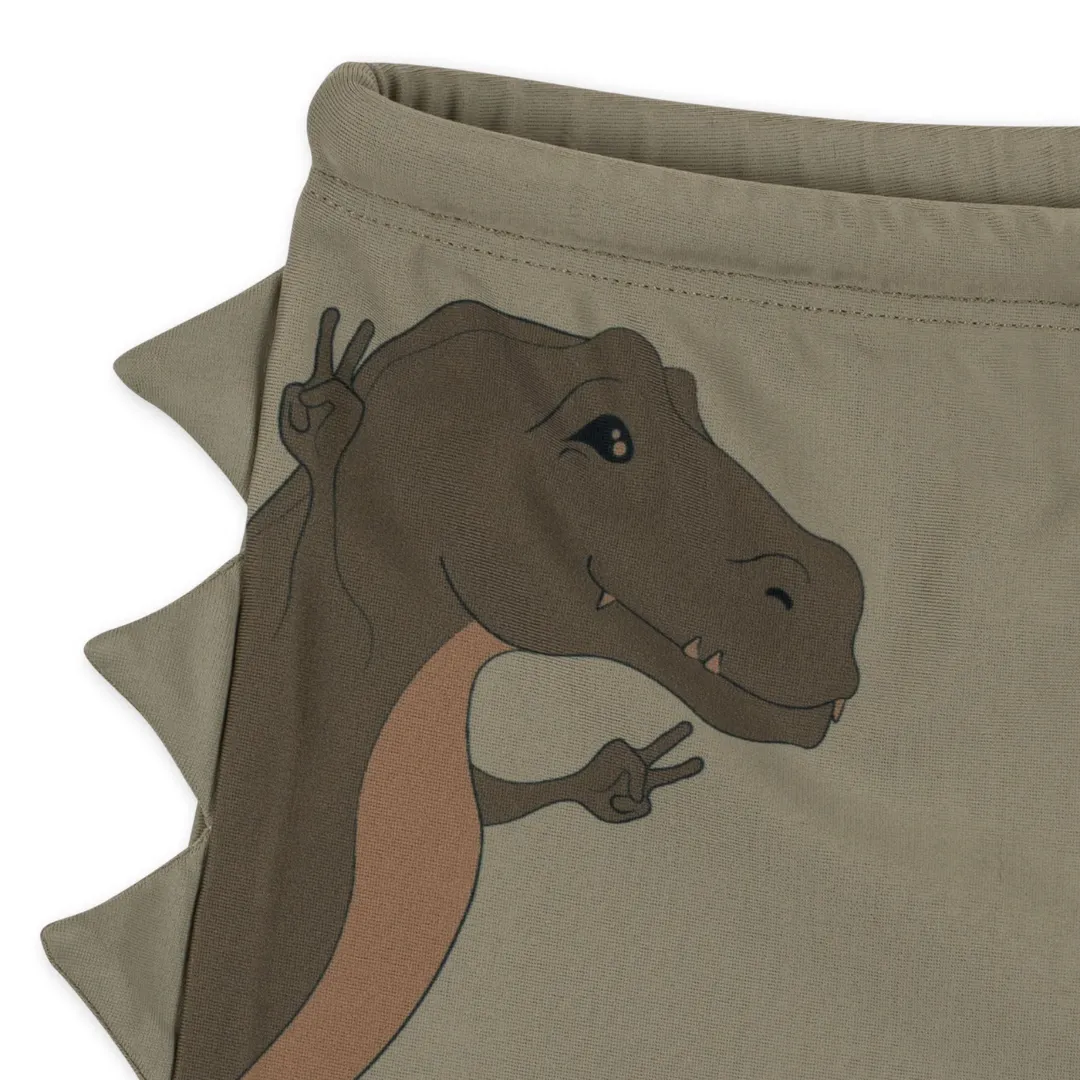 Aster Swim Pants - Dino - Overland Trek