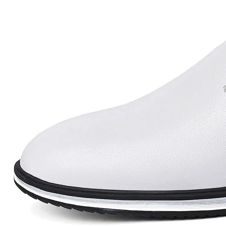 Classic elegance: 'ElegantStride' premium leather loafers for men