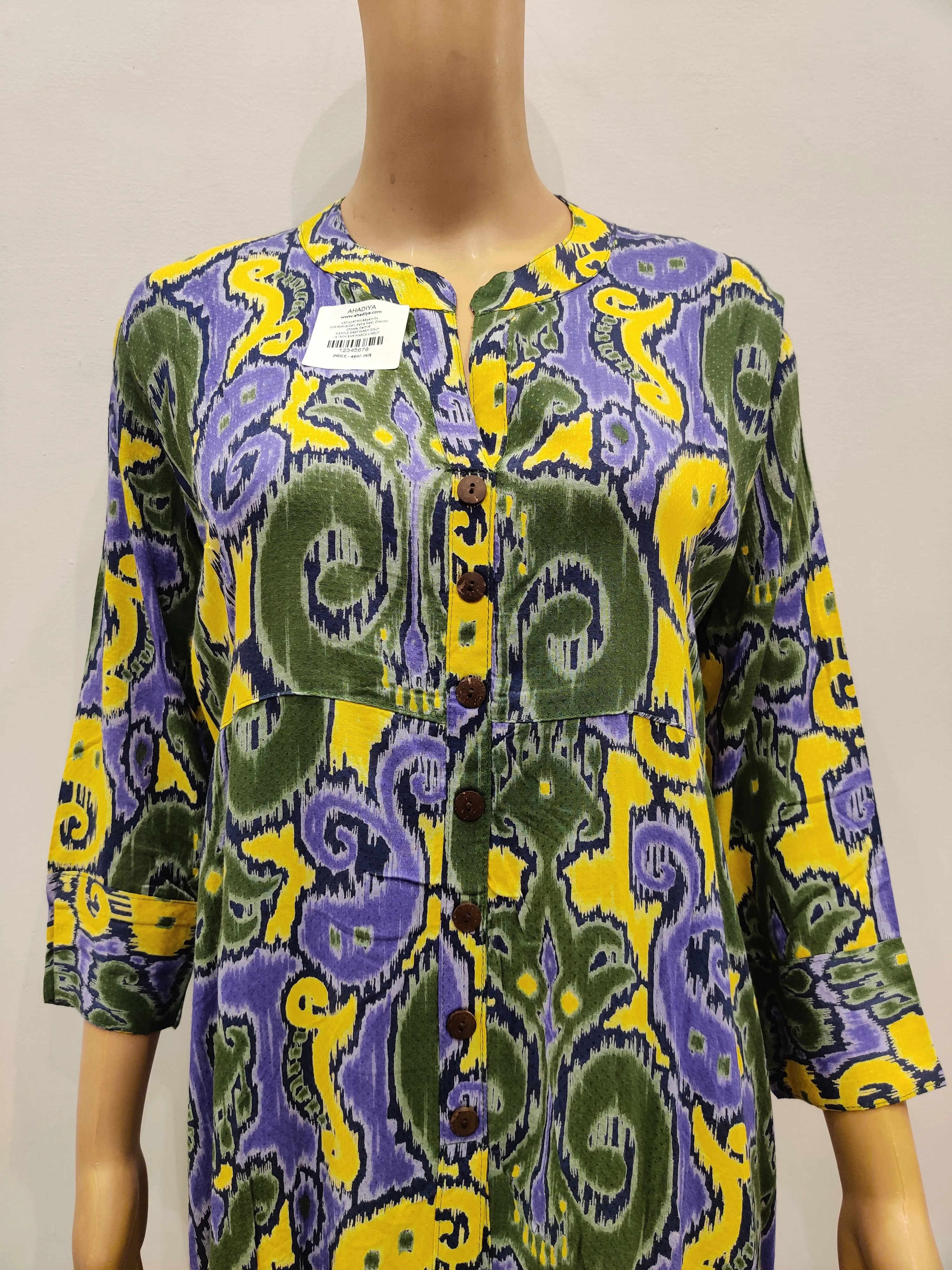 Erigeron Kurti
